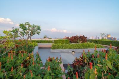 Rooftop Garden - Dấu ấn nổi bật tại khu phức hợp Westgate