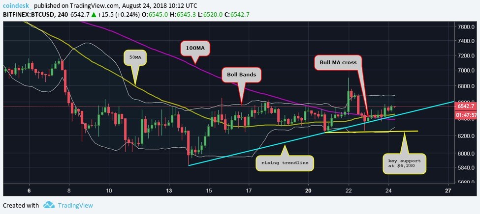 Màu xanh trở lại với Bitcoin khi viễn cảnh tăng giá càng được củng cố