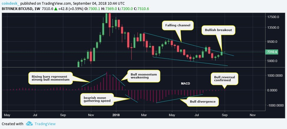 Chỉ báo MACD chuyển tích cực lần đầu tiên sau 8 tháng – Triển vọng dài hạn của Bitcoin tươi sáng trở lại?