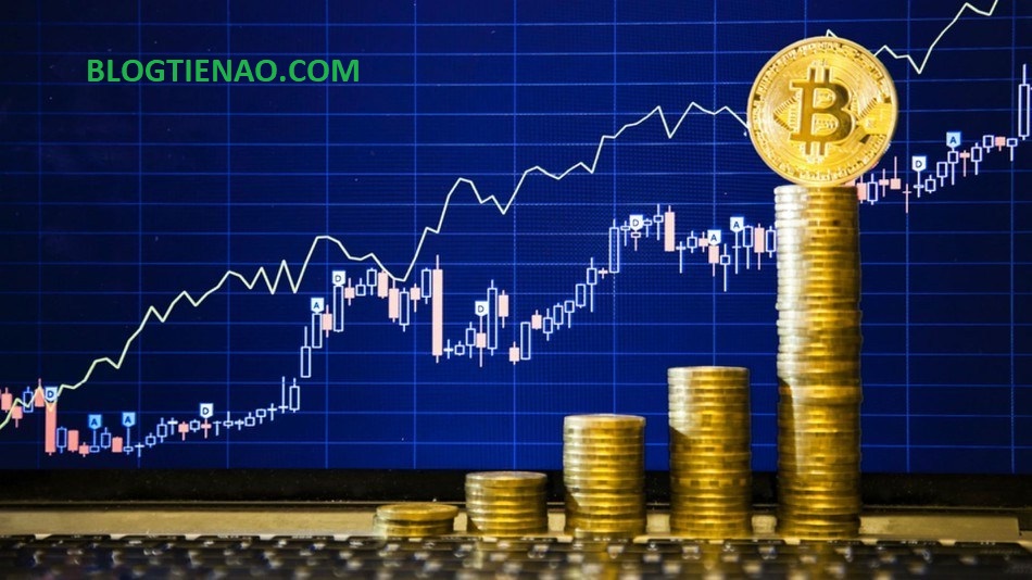 Thị phần của Bitcoin tăng lên 55%