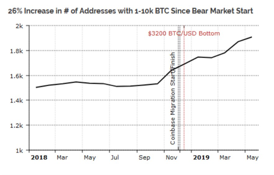 cá voi btc