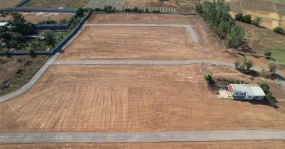 Bà Rịa-Vũng Tàu siết phân lô bán nền, làm đường trên đất nông nghiệp