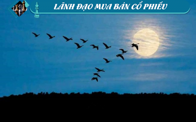 Lãnh đạo mua bán cổ phiếu: Tiếp tục thoát hàng!