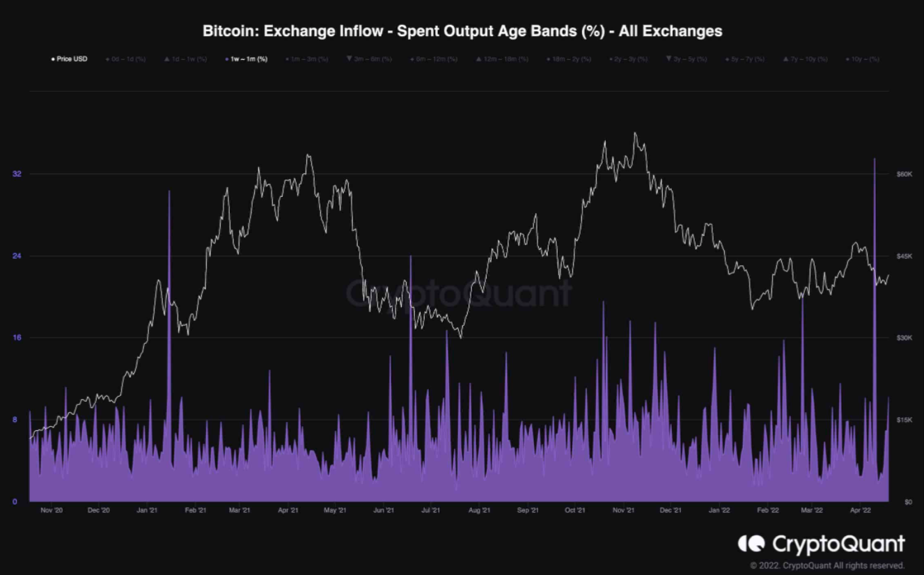 btc-day