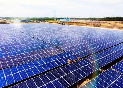 Chủ tịch Bamboo Capital: Thị giá cổ phiếu chỉ bị tác động trong ngắn hạn