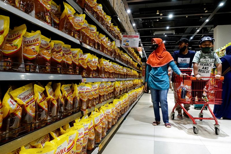 Indonesia industry body confident palm oil export ban could end in May