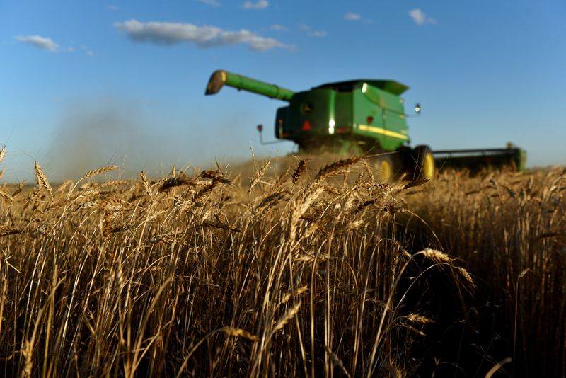 White House seeks $500 million for farmers to grow more wheat, pay for market loans