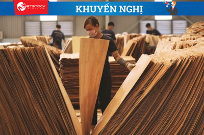 Cổ phiếu ngành gỗ liệu có hấp dẫn?