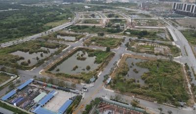 Đấu giá, đặt trước và bỏ… cọc: Luật đã có!