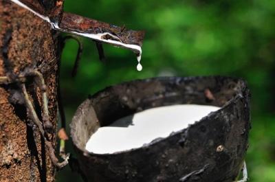 Một cá nhân chi gần 55 tỷ đồng để ngồi ghế cổ đông lớn của TNC
