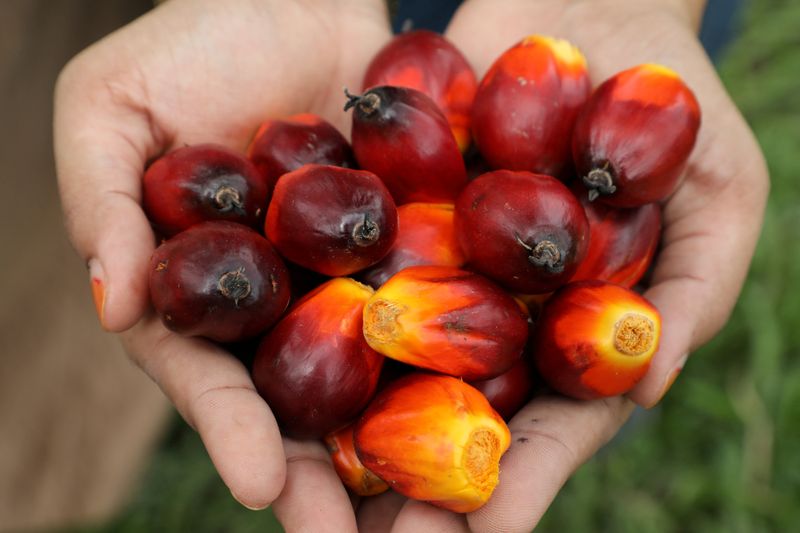 Malaysia end-April palm oil stockpile seen up after five months of falls