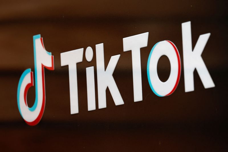 Financial giants tiptoe into TikTok