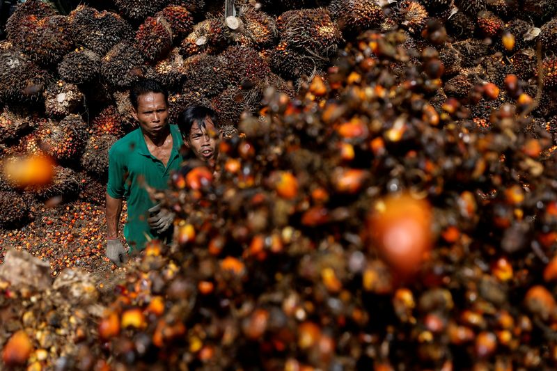 Indonesia president declares end of palm oil export ban from Monday
