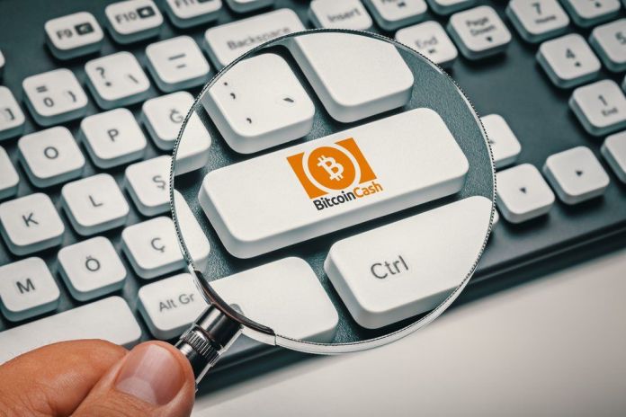 Craig Wright thúc giục thợ đào xử lí giao dịch Bitcoin Cash với mức phí 0 sat/byte