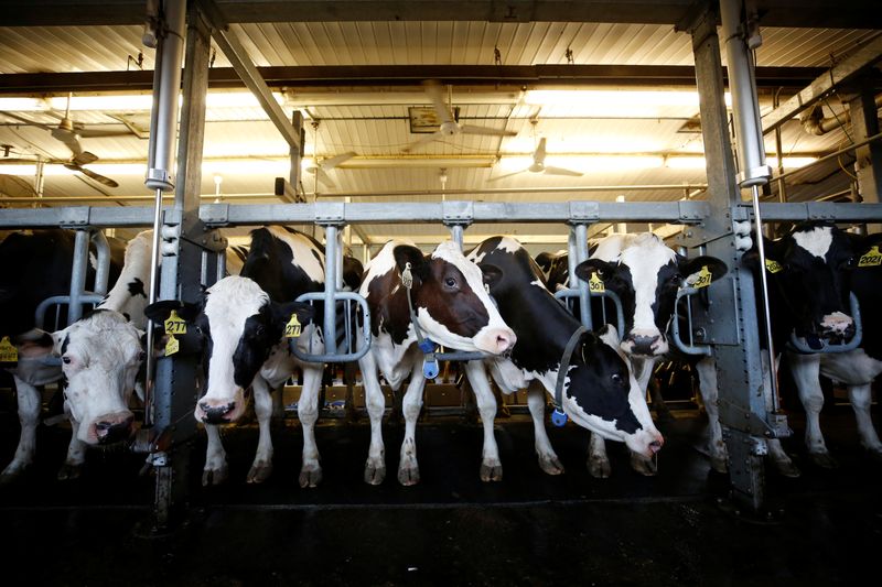 U.S. requests second dispute settlement panel on Canadian dairy quotas under USMCA