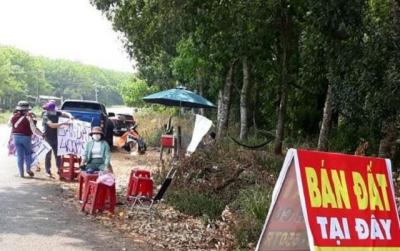 Đại biểu Quốc hội: Chậm công khai thông tin quy hoạch gây 'sốt' đất ảo, đầu cơ