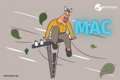 MAC: Cổ đông lớn “đu đỉnh”?