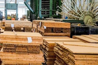 Cổ phiếu “lau sàn” 5 phiên, SJF nói gì?