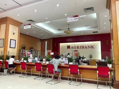 Agribank rao bán nợ của chủ đầu tư “dự án bỏ hoang”