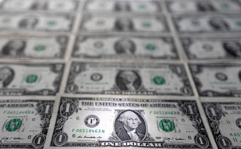 Dollar finds support as investors put safety first