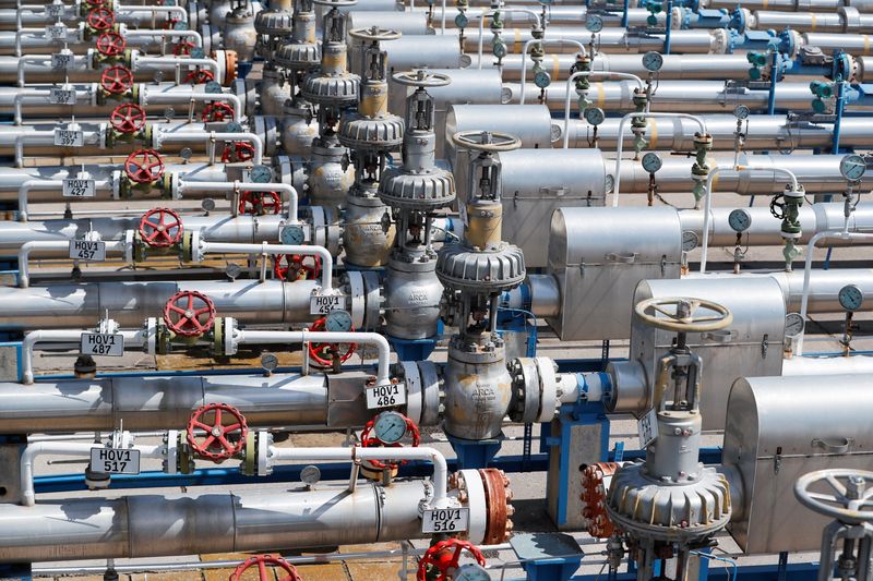 Hungary decree allows government to supervise energy firms if needed