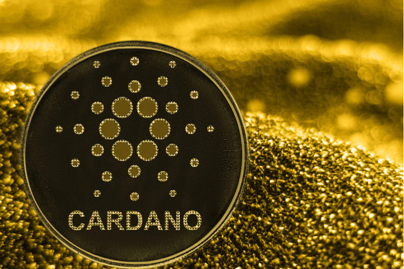 A Glimpse of Charles Hoskinson’s Cardano Community Event