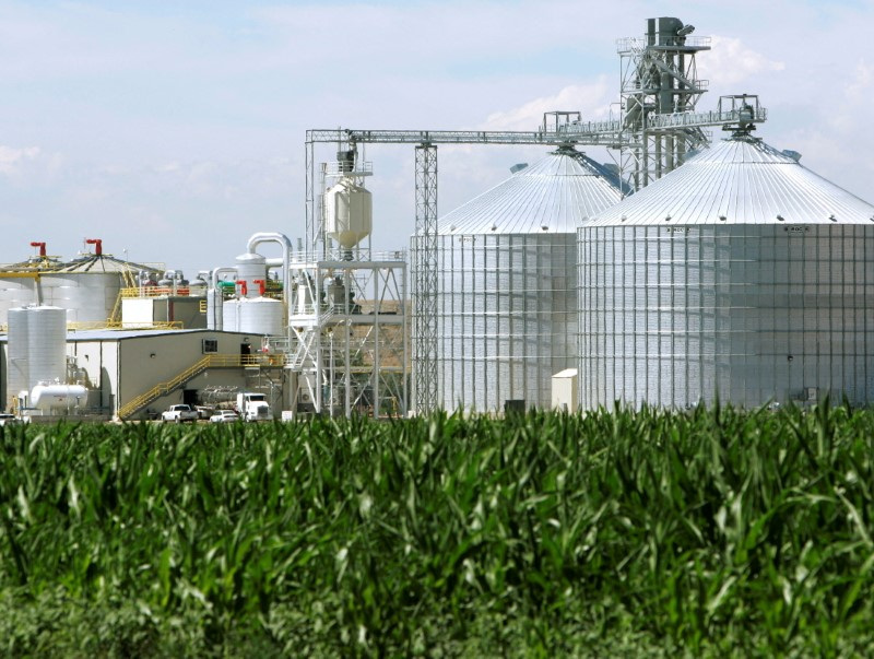 U.S. generation of renewable fuel credits rose in June -EPA