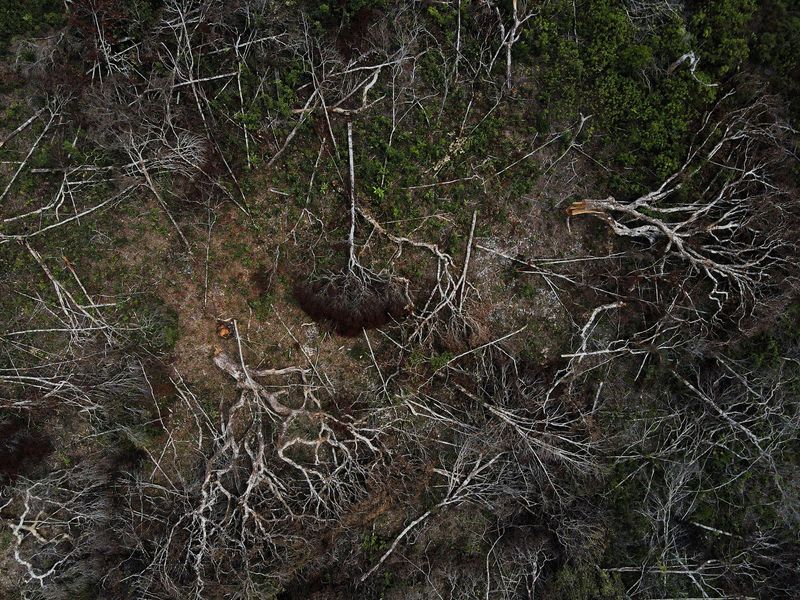 If Brazil legalizes more Amazon mining, it would drive deforestation, study says