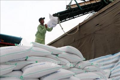 Doanh nghiệp gạo rộng cửa xuất khẩu