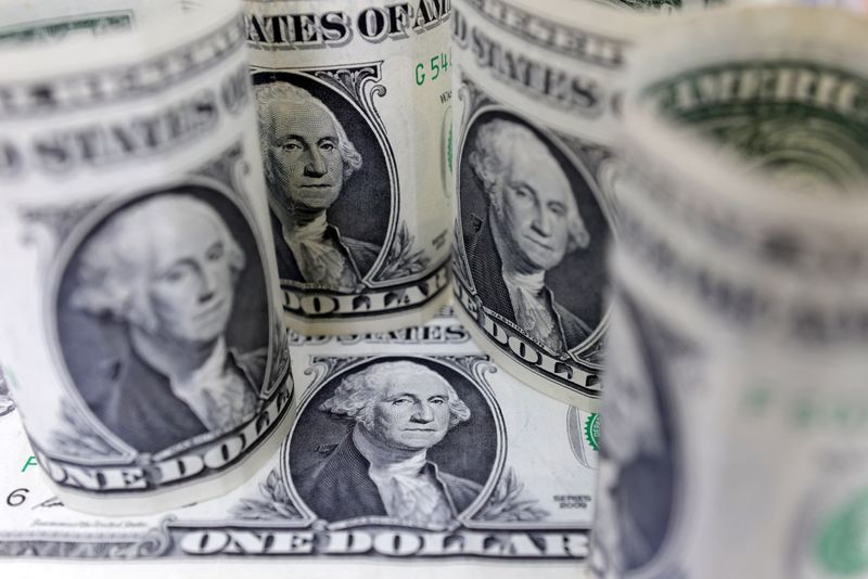 Dollar stands tall as Fed doves talk tough