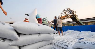Giá gạo Việt và Thái 'đổi ngôi' quanh mốc 400 USD