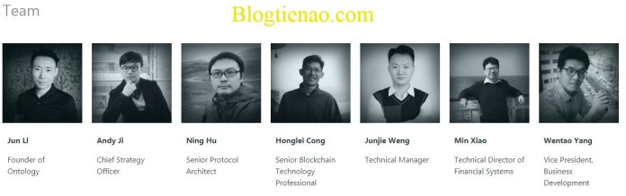 team-ontology