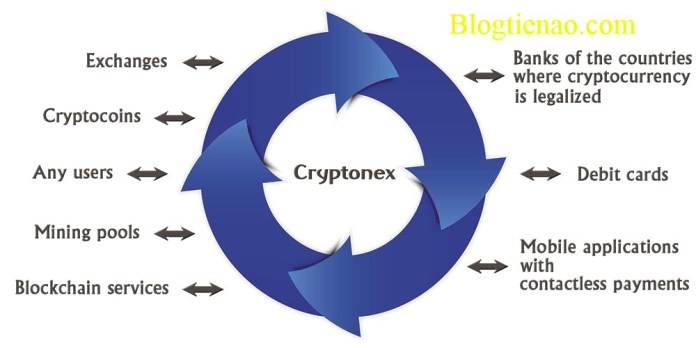 Cryptonex