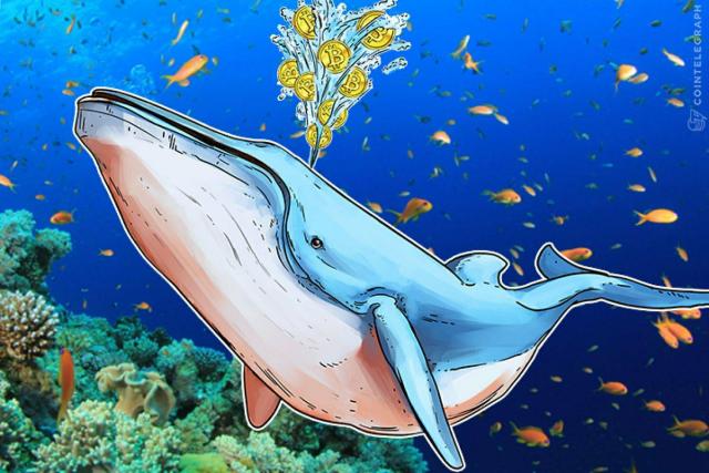 Nhà đầu tư Trung Quốc thừa nhận đã gom đến 10.000 BTC khi Bitcoin sụt giá hồi đầu 2018