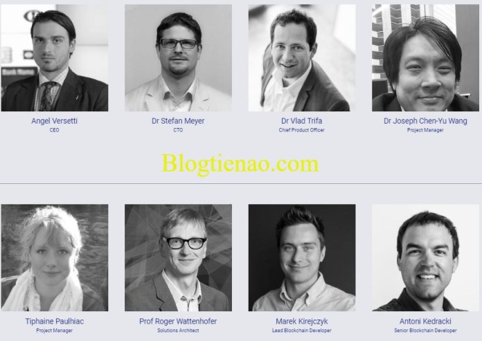 Ambrosus-team