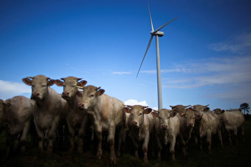 Farm and food investors face $150 billion loss on climate change - report