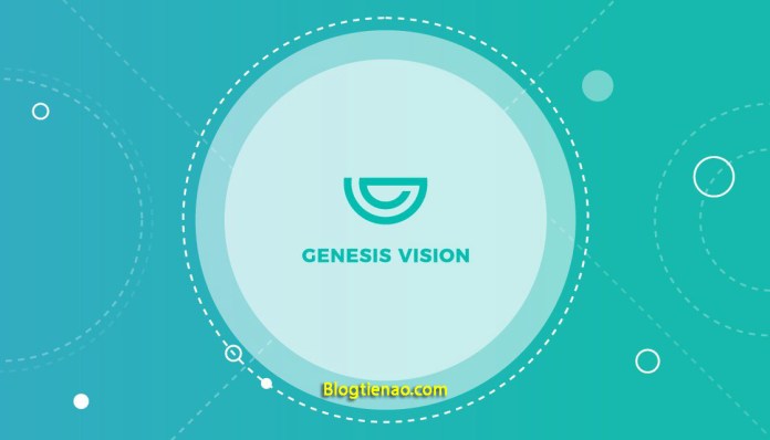 Genesis Vision 