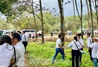 Sẽ đề xuất xử lý doanh nghiệp 'làm trò' sốt đất tại Bình Phước