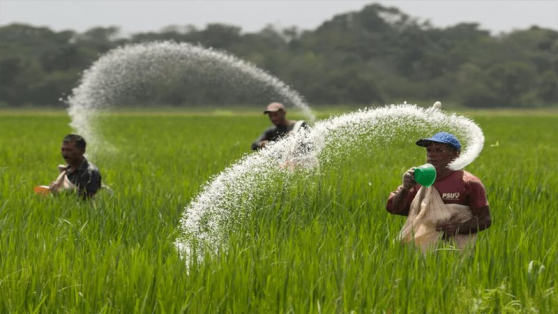 Tại sao giá phân bón toàn cầu 