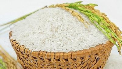 Xuất khẩu gạo 10 tháng đầu năm 2022 ước đạt 2.94 tỷ USD