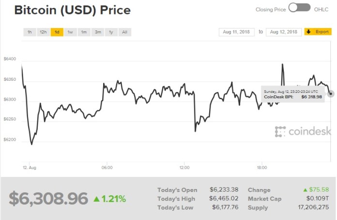 Diễn biến giá bitcoin 24 giờ qua