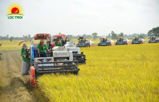 Lộc Trời – Doanh nghiệp tiên phong đưa công nghệ cao vào sản xuất nông nghiệp