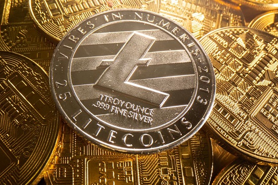 LTC Investors Defy the Downtrend, Pushing Up Prices by Over 17.06%