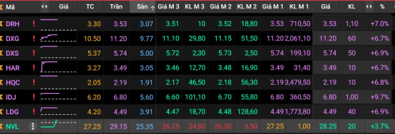 Novaland (NVL),  Phát Đạt (PDR) được giải cứu - Dòng tiền lớn nhập cuộc đưa loạt cổ phiếu bất động sản tăng trần
