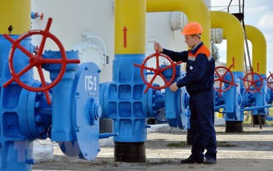 Giá gas hôm nay 24/11: Giá khí đốt tự nhiên chạm mức cao nhất 2 tháng