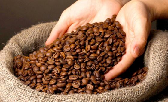 Giá cà phê hôm nay 25/11: Giảm tiếp 500 đồng/kg