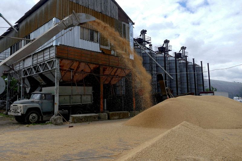 Ukraine sees less than 3 million tonnes of grain leaving in November - minister