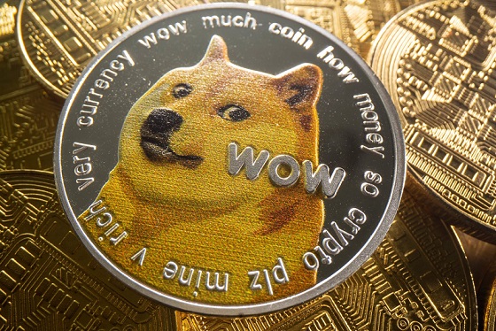 Dogecoin UP 7+% After A 300 Million DOGE Whale Transaction