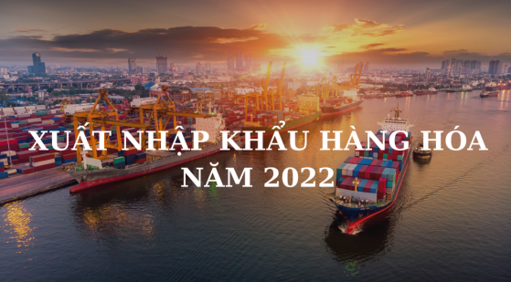 Tình hình xuất nhập khẩu hàng hóa của Việt Nam năm 2022