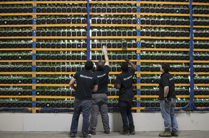 may dao bitcoin dai ha gia giua bao tien ma hoa